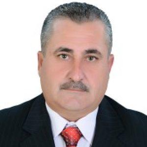 صورة الملف الشخصي لـ n-dayyoub